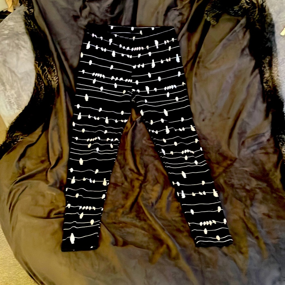 LuLaRoe leggings Birds on a Wire Tall and Curvy